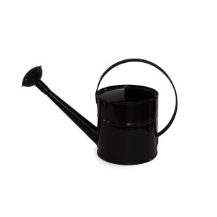 Black watering can 2l  with sprinkler