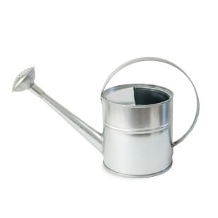 Galvansied watering can 2l with sprinkler